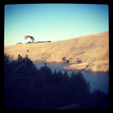 The friendly paraglider